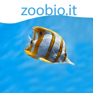 Zoobio.it