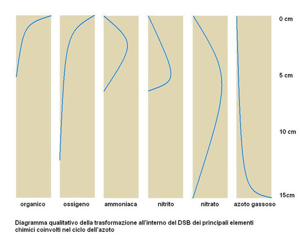 diagramma dsb