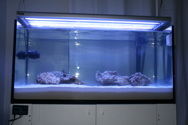 Plafoniere A Led Usate Per Acquari Marini : Filtraggio in acquario dolce e marino acquaportal