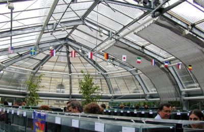 World Guppy Contest