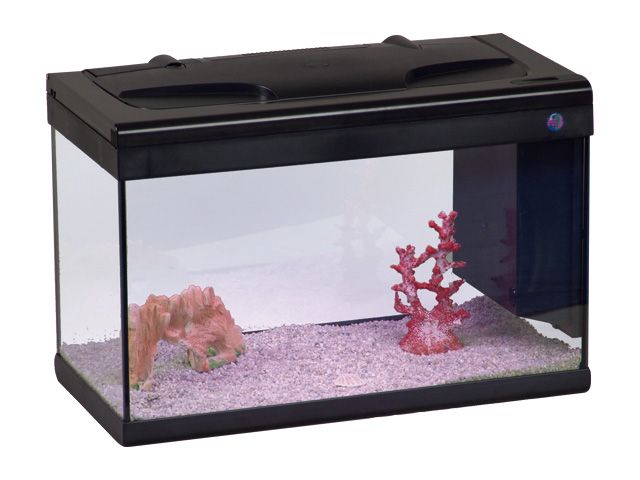 acquario per Ciclidi nani