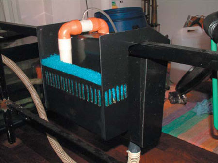 tracimatore per acquario