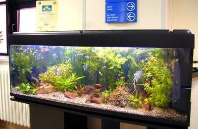 Acquario per la vita