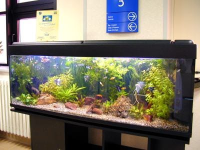 Acquario per la vita