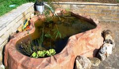 realizzazione laghetto giardino