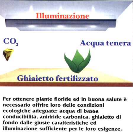 I CSC di alcuni substrati da fondo Maggiore è il valore CSC (Capacità di Scambio di cationi), migliori saranno le prestazioni del substrato di fondo nel cedere lentamente nutrienti alle radici. Alcuni materiali, pur avendo elevati valori CSC, possono produrre inquinamento dell’acqua, avendo un forte contenuto in materia organica: dovranno quindi essere utilizzati con moderazione. Ecco una tabella che ci dice il grado di CSC di alcuni materiali per il substrato:  Substrato CSC meq/100g Perlite 1,5 – 3,5 Sabbia 3,0 – 7,0 Ghiaia 22,0 – 63,0 Torba 53,0 Vermiculite 82,0 – 150,0 Ghiaietto fertilizzato 100,0 – 180,0 Humus 200,0