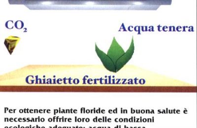 fertilizzanti in acquario