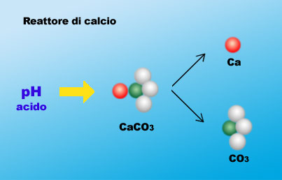 Somministrazione del calcio