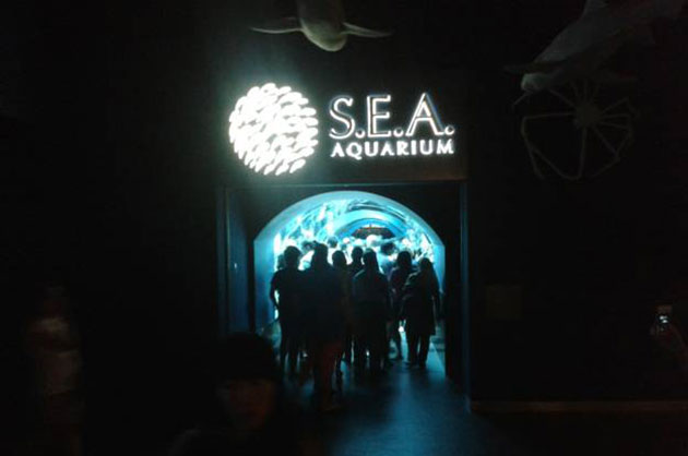 Sea Aquarium