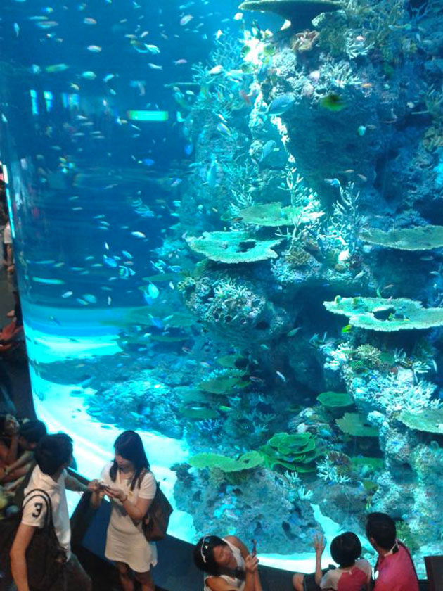 Sea Aquarium