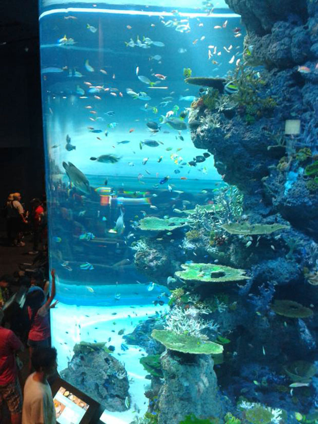 Sea Aquarium