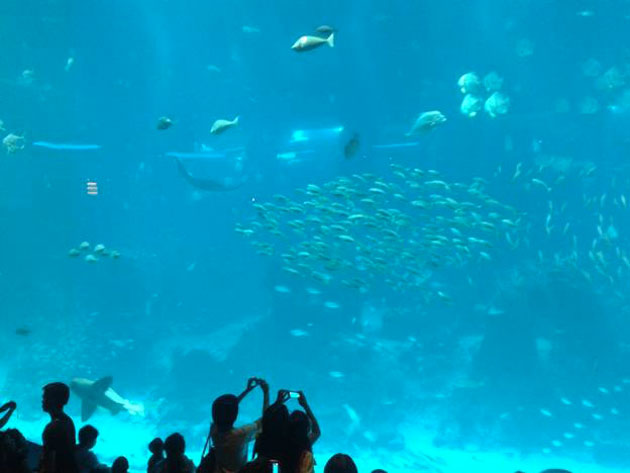 Sea Aquarium