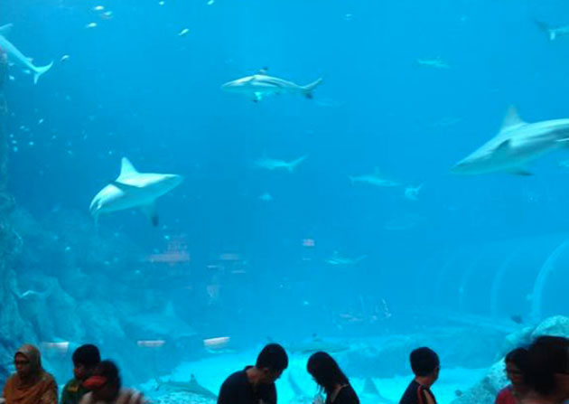 Sea Aquarium