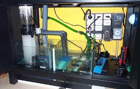 acquario di Antonio Lettieri