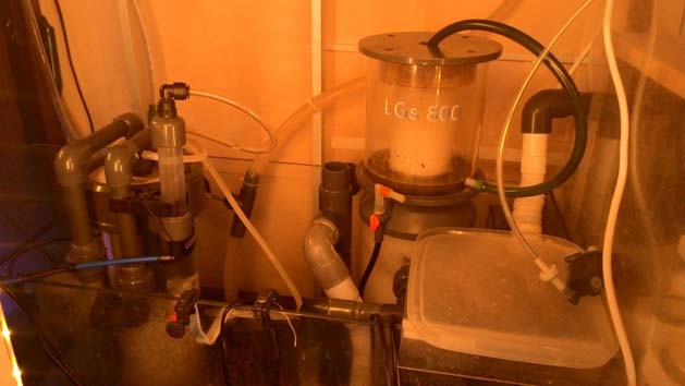 acquario di Alessio Ciachettini acquario di Alessio Ciachettini