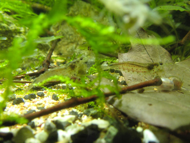 la-vasca-di-davide-minerva