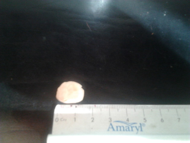 lievito cibo allevamento dafnie