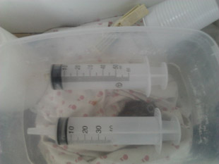 attrezzature allevamento dafnie