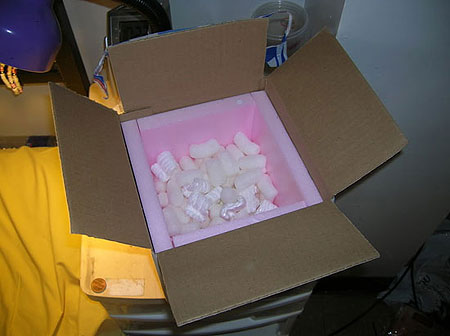 scatola imballaggio polistirolo spedizione pesci