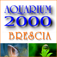 AQUARIUM 2000
