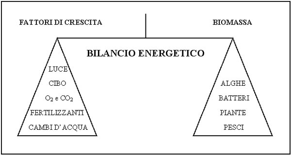 Il bilancio energetico globale della vasca