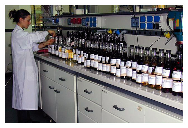 Le integrazioni nell'acquario marino di barriera