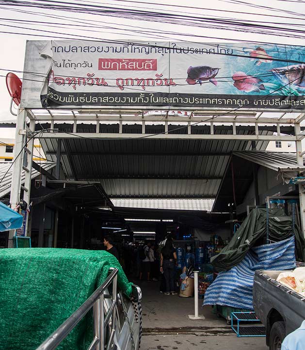 Mercato di Chatuchak Ingresso