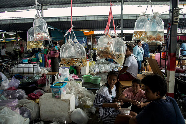 Mercato di Chatuchak Commercianti