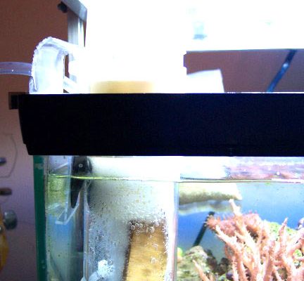 Costruzione di un Mini schiumatoio