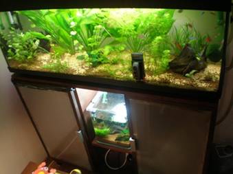 Refugium per acquario