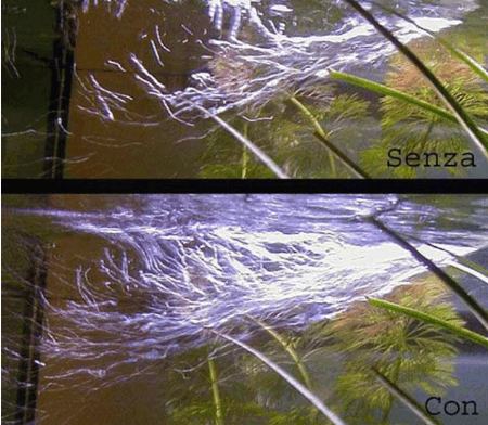 l'ossigenazione in acquario