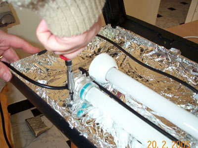 Aggiungere neon all'acquario