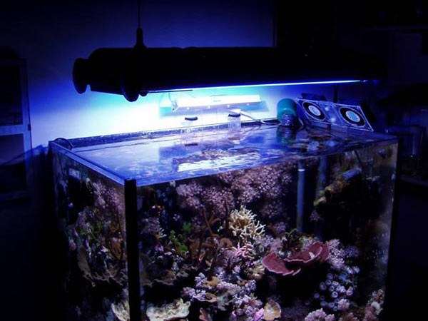 Plafoniera Led Fai Da Te Acquaportal : Realizzare una luce lunare per acquario acquaportal