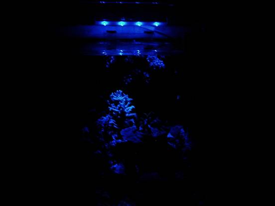 Realizzare una luce lunare