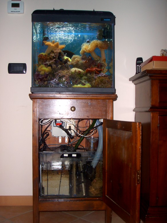 L'acquario di Simone Colombi L'acquario di Simone Colombi