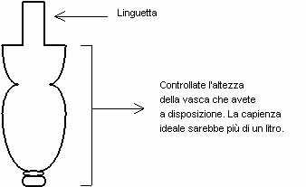 Allevamento Artemie Saline schiuditoio