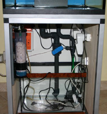 L'acquario di Davide De Magistris