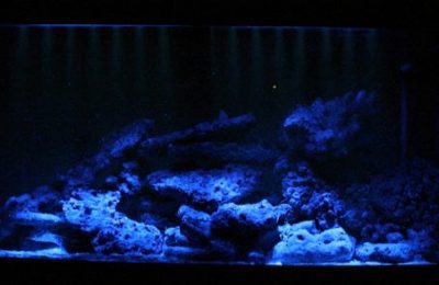 Luce lunare in acquario