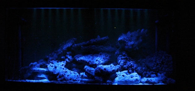 Luce lunare in acquario