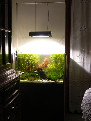 L'acquario di Armando Panzera