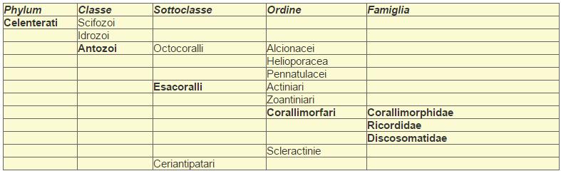 corallimorfari tabella