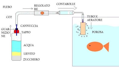 Co2 a lievito per acquari