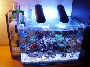 Sump a zainetto per nano reef