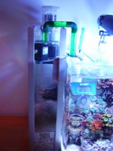 Sump a zainetto per nano reef Sump a zainetto per nano reef