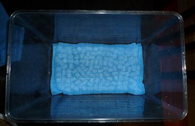 Filtro sottosabbia per avannotti