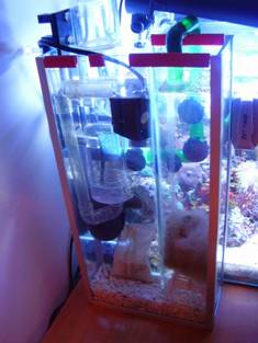 Sump a zainetto per nano reef Sump a zainetto per nano reef