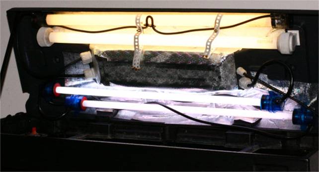 acquario Pet Company