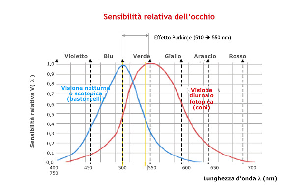 L'importanza della luce in acquario