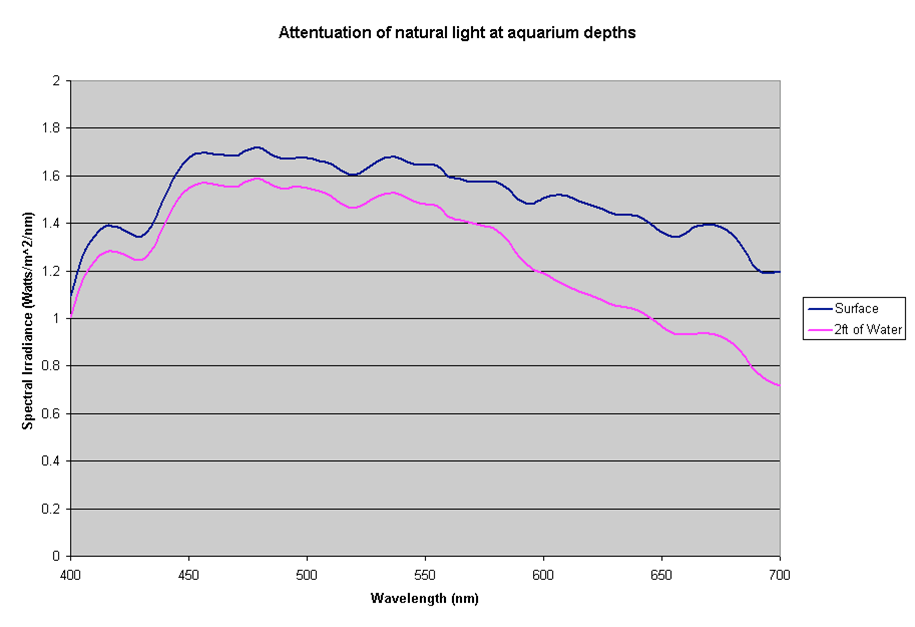 L'importanza della luce in acquario