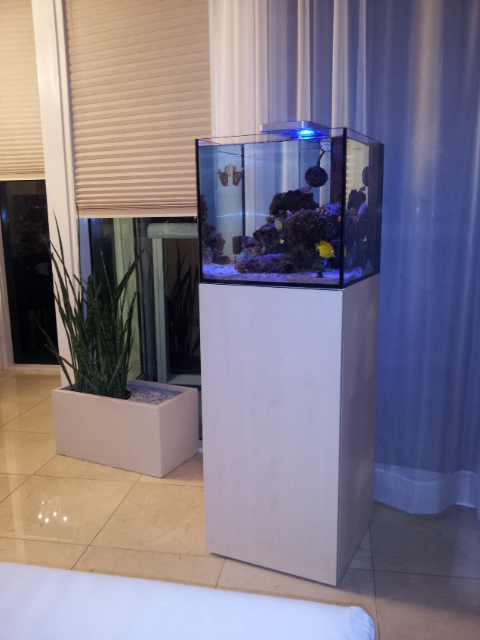 mini system elos